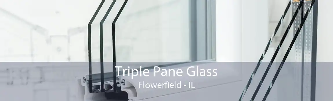 Triple Pane Glass Flowerfield - IL