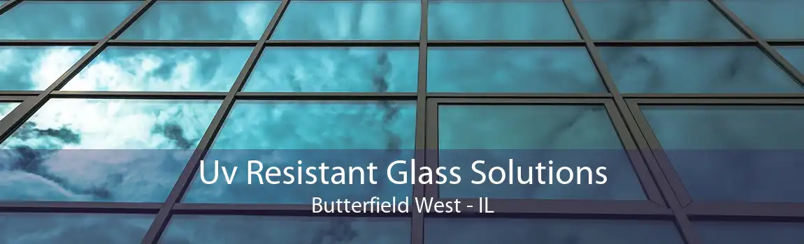 Uv Resistant Glass Solutions Butterfield West - IL