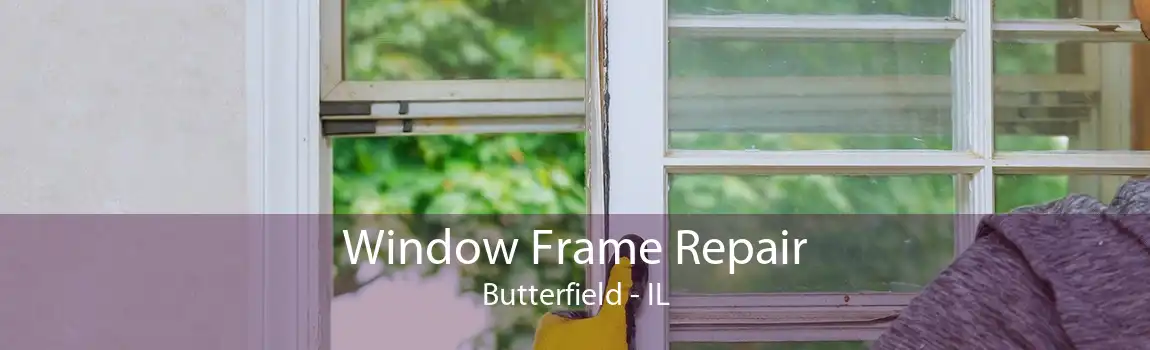 Window Frame Repair Butterfield - IL