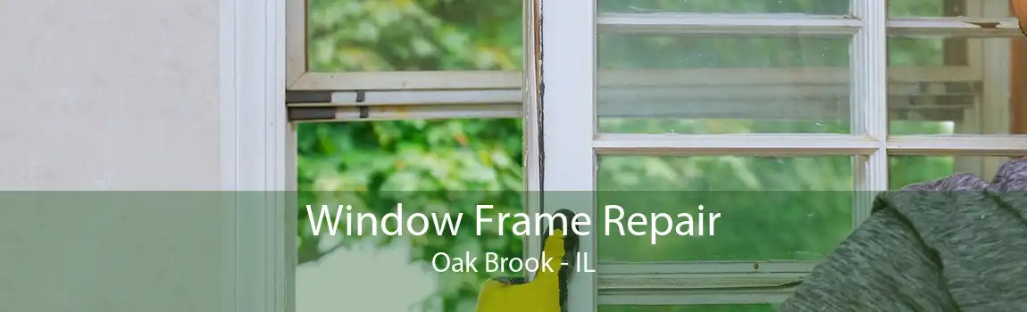 Window Frame Repair Oak Brook - IL