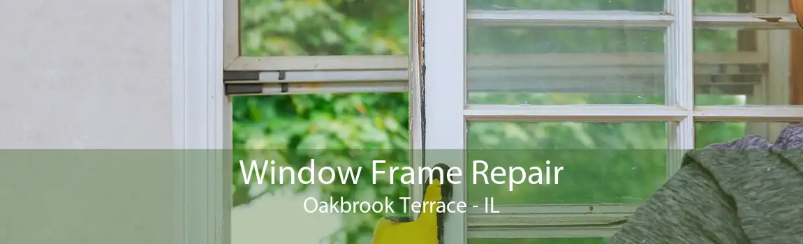Window Frame Repair Oakbrook Terrace - IL