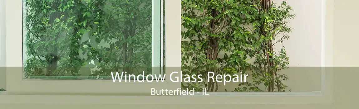 Window Glass Repair Butterfield - IL