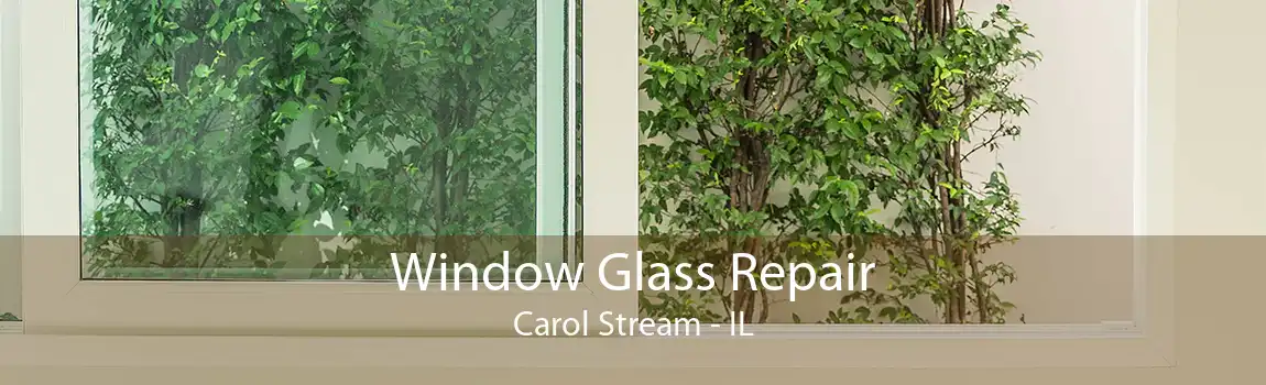 Window Glass Repair Carol Stream - IL