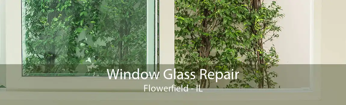 Window Glass Repair Flowerfield - IL