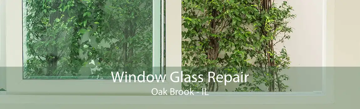 Window Glass Repair Oak Brook - IL