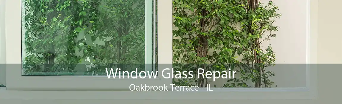 Window Glass Repair Oakbrook Terrace - IL