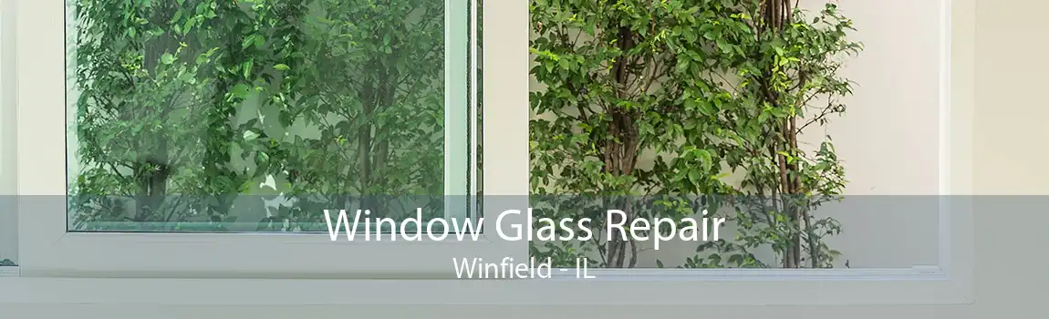 Window Glass Repair Winfield - IL