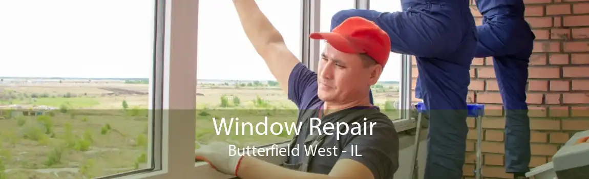 Window Repair Butterfield West - IL