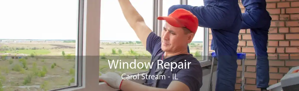 Window Repair Carol Stream - IL
