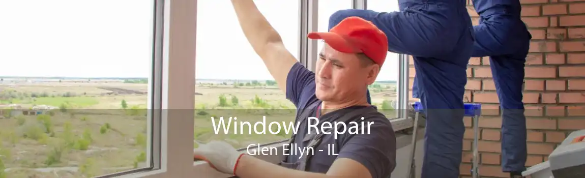 Window Repair Glen Ellyn - IL