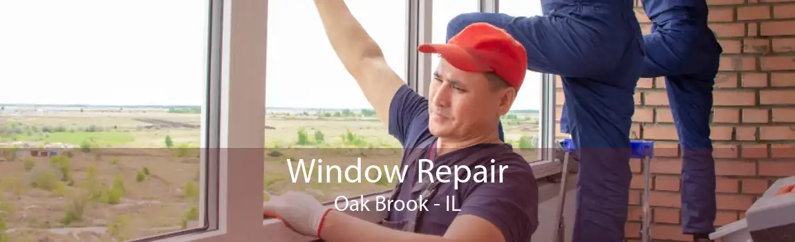 Window Repair Oak Brook - IL