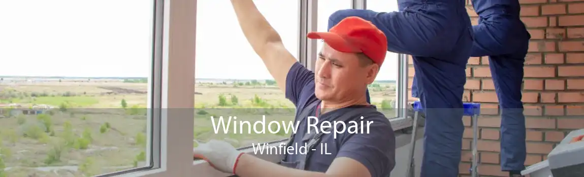 Window Repair Winfield - IL