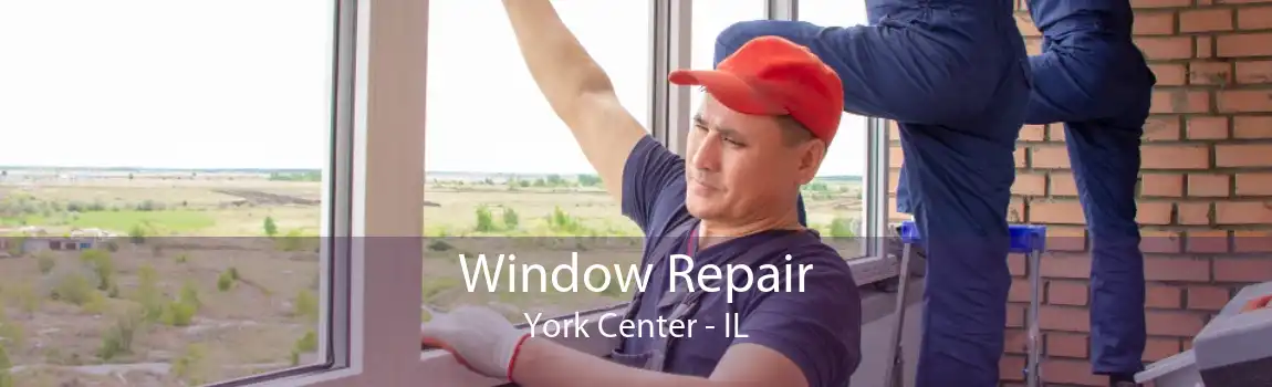 Window Repair York Center - IL