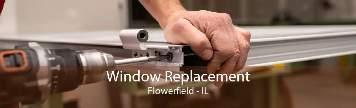 Window Replacement Flowerfield - IL