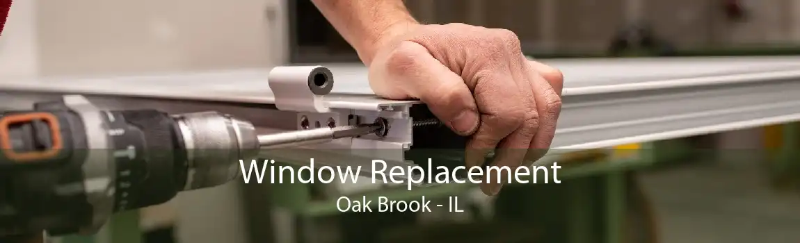Window Replacement Oak Brook - IL