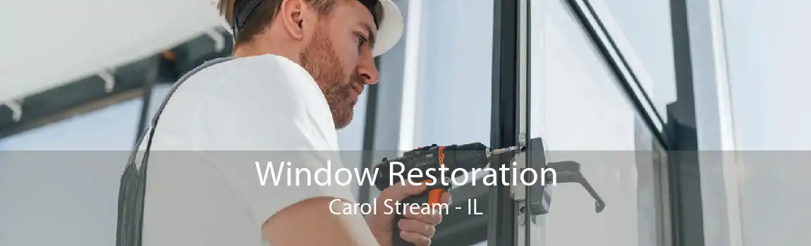 Window Restoration Carol Stream - IL