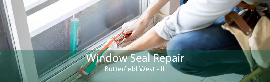 Window Seal Repair Butterfield West - IL