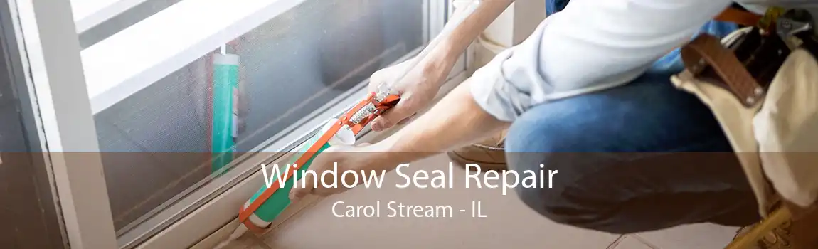 Window Seal Repair Carol Stream - IL