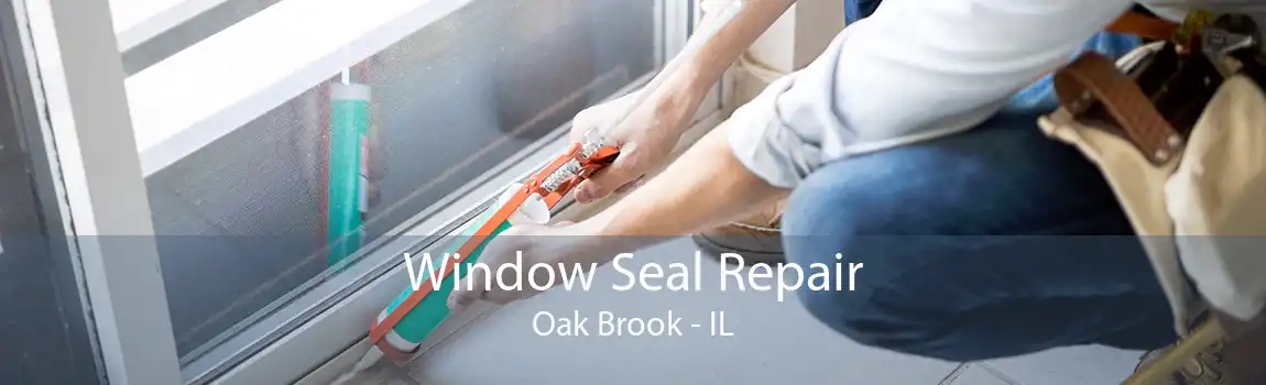 Window Seal Repair Oak Brook - IL