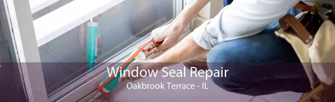 Window Seal Repair Oakbrook Terrace - IL