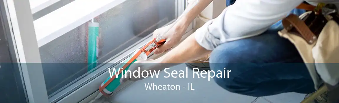 Window Seal Repair Wheaton - IL