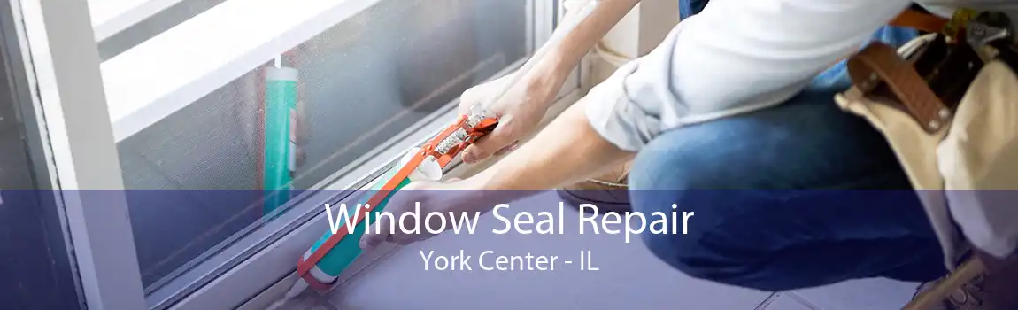 Window Seal Repair York Center - IL